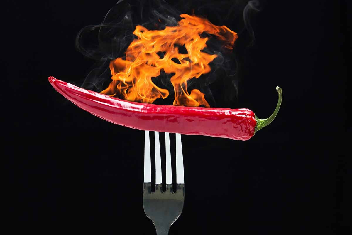 غذای تند