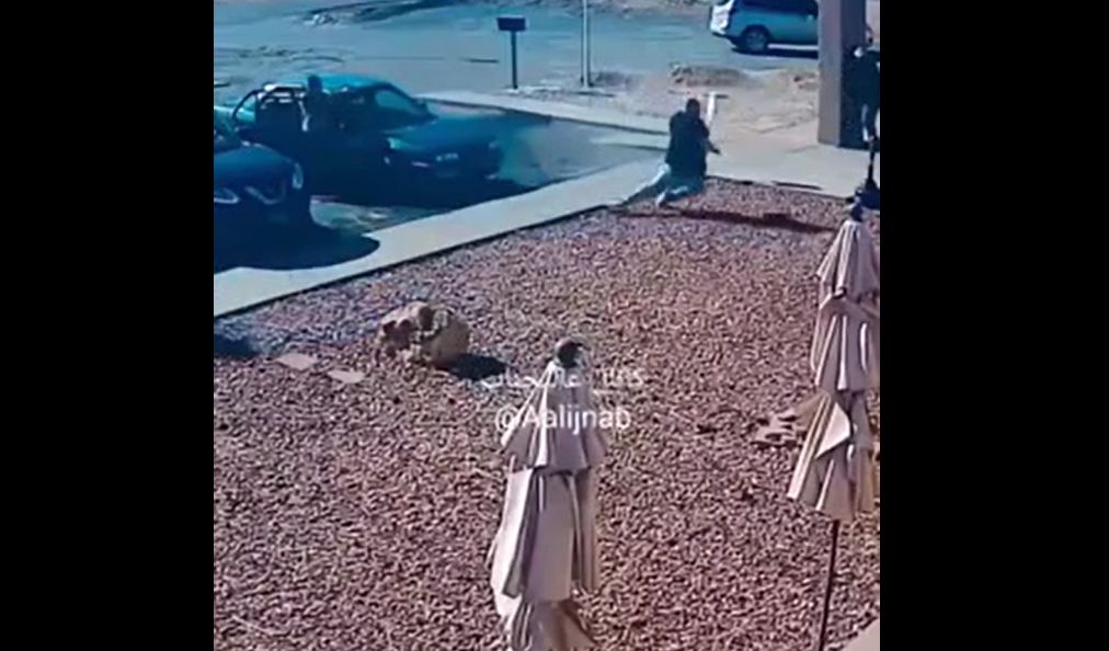 قتل بی‌رحمانه بر سر جای پارک در خیابان+فیلم