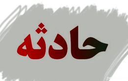 جزئیات قتل پسربچه ۵ ساله افغانستانی
