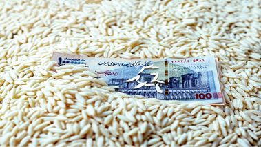 خبر خوش؛ قیمت برنج به ۲۷۰ هزار تومان می‌رسد