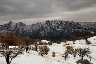 بارش برف کردستان