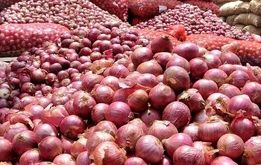 پیاز در تهران نایاب شد +عکس