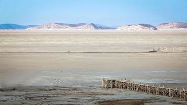سیب و چغندرقند، قاتل جان دریاچه ارومیه شدند