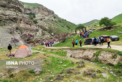 دره ارغوان