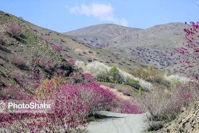 دره ارغوان