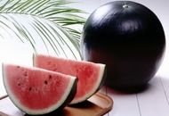 چگونه هندوانه مسموم را تشخیص دهیم+ آموزش تست نیترات هندوانه