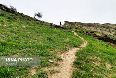 دره ارغوان