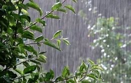 پیش‌بینی هواشناسی؛ باران تابستانی در راه است