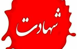 سردار نارنجی به شهادت رسید