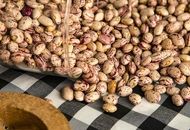 افزایش ۱۵۹ درصدی قیمت لوبیاچیتی!