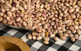 افزایش ۱۵۹ درصدی قیمت لوبیاچیتی!