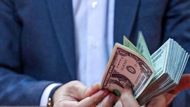 قیمت دلار سقوط کرد؛ قیمت دلار امروز پنجشنبه ۱۶ مرداد ۱۴۰۴ 